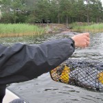 Egenfångad bröllopsmiddag